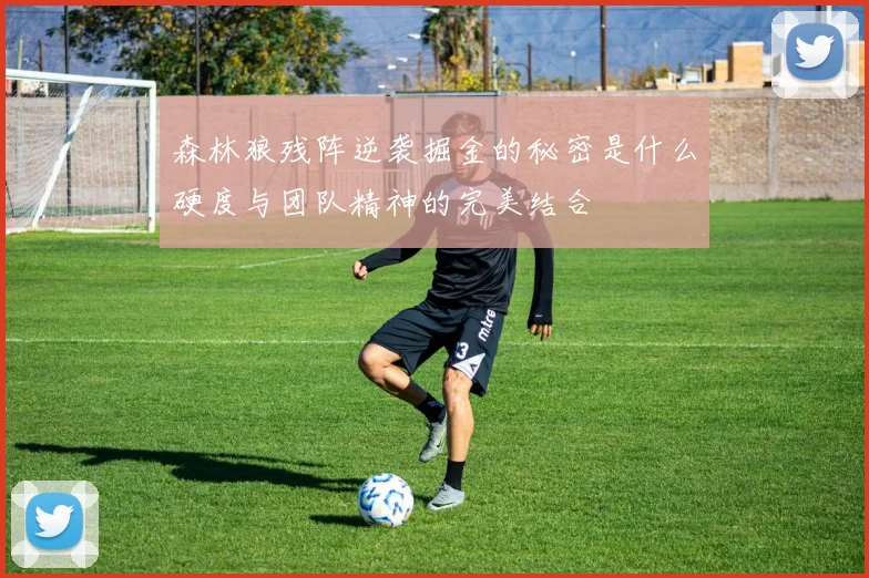 森林狼残阵逆袭掘金的秘密是什么硬度与团队精神的完美结合