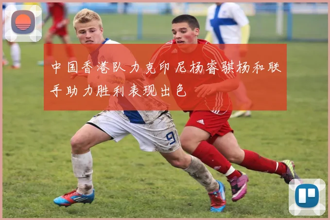 中国香港队力克印尼杨睿骐杨和联手助力胜利表现出色