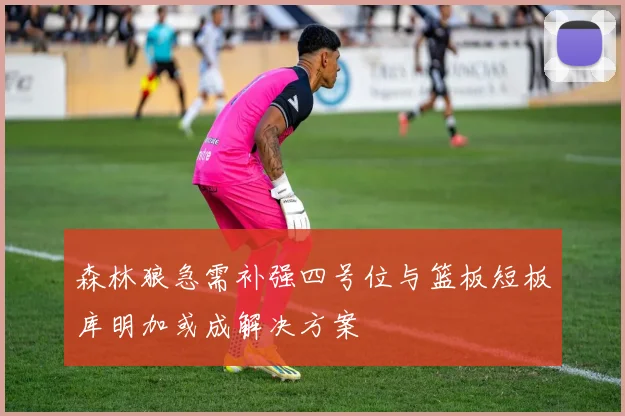森林狼急需补强四号位与篮板短板库明加或成解决方案